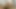 Self Suck 16" Cock Face Fuck Double Cumshots and Swallow