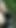 Hard cock pissing outdoors in the woods