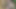 I Go on an Adventure to the Jungle with My Shy Stepsister and I End up Fucking Her Hard and Cumming Hard in Her Mouth
