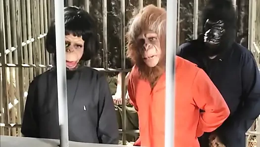 When the Cock Got to Mars...