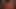 www
