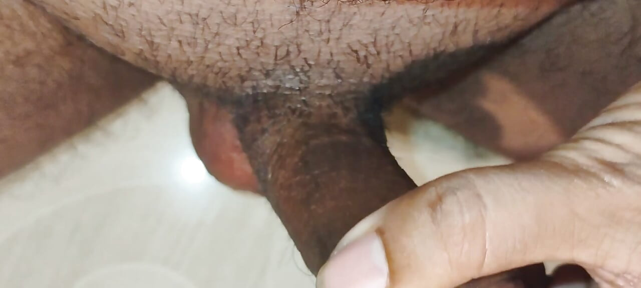 Hard cock ready to have sex