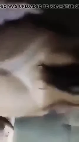 Jebo te Tito :))