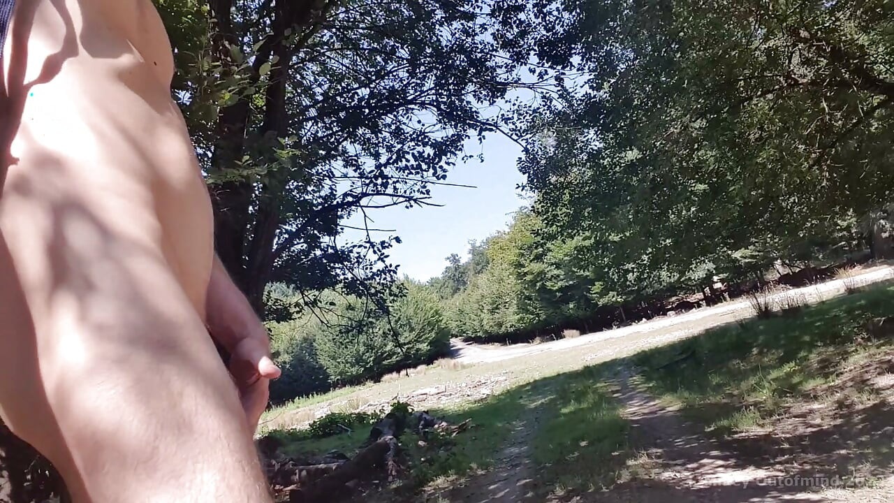 Hiking naked and jerking on the tourist road in the woods