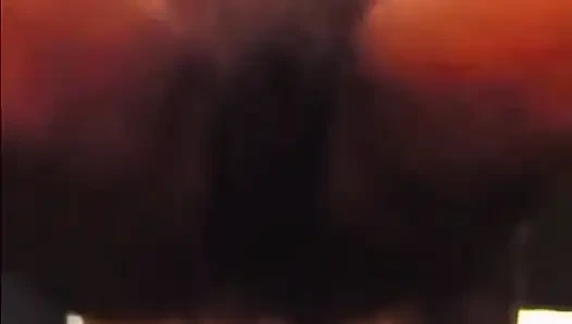 At the Hotel Interrupted by Management