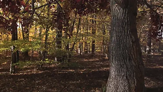 Вслепую - демо