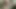 Giving My BBW Stepmother a Taste of My Cum