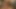 Cewek hot rambut cokelat dengan lingerie seksi dientot sama kontol besar