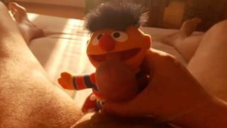 Ernie lutscht meinen Schwanz