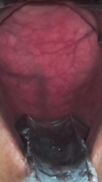 Plug anal a mi esclava