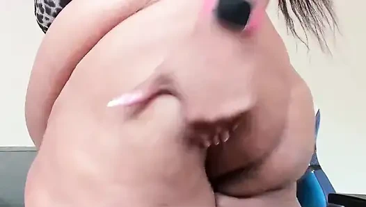 Трансляция началась