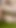 Captivating moment from "She Suck My Cock Dry! ThroatPie while Squirting + Creampie while Squirting"