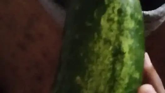 Vollbusige schlampe spielt mit sich selbst und fickt sich mit einer gurke