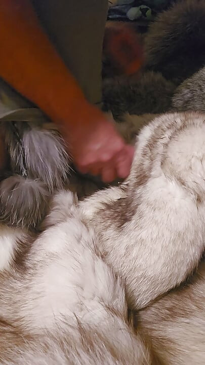 Fox fur mittens masterbation furry coat cum
