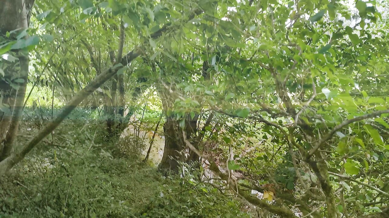 一週間オーガズムを台無しにした