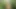 Ich mache eine reise und werde von einem fremden im wald gefickt!