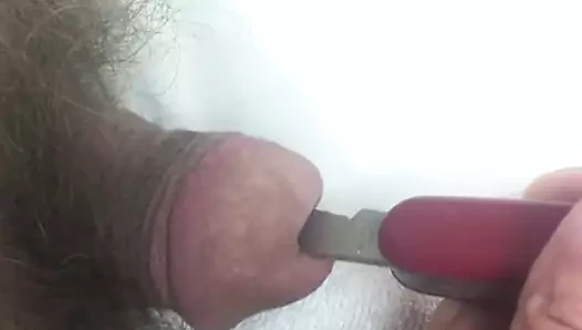 İsviçre bıçağını sonuna kadar sokmak