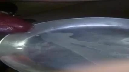 Acorn stimulated + very big cumshot