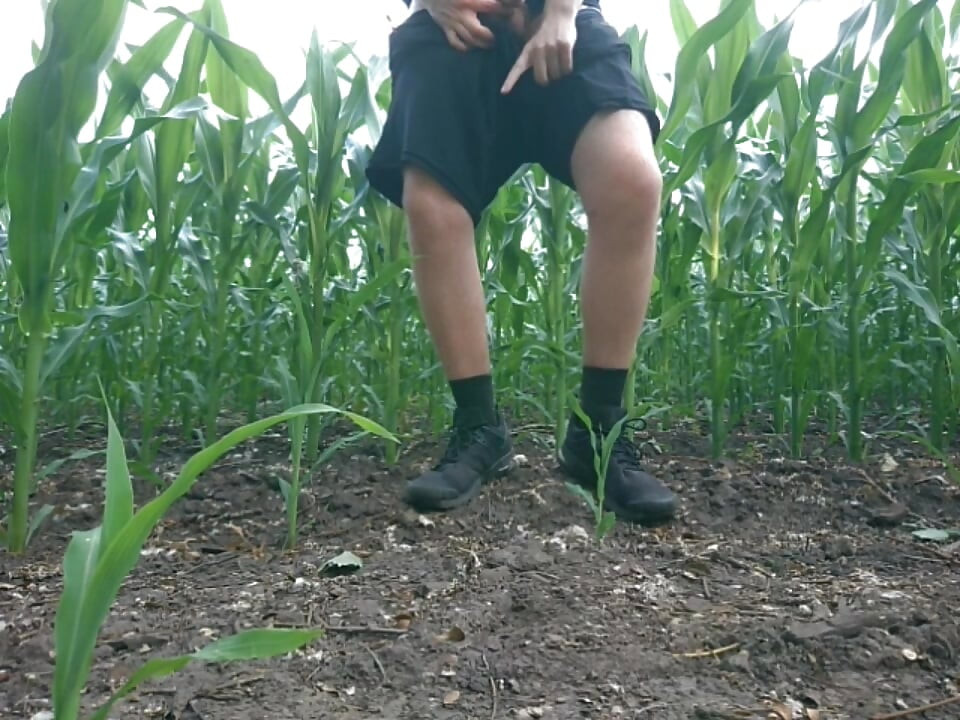 Kerel pist veel in de buurt van het veld in de natuur