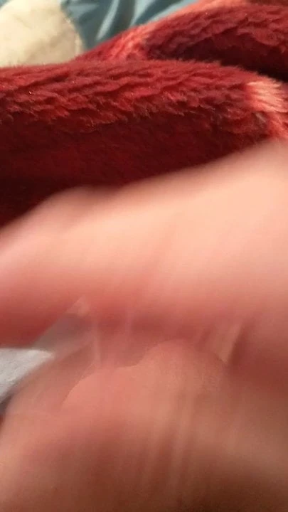 mi polla