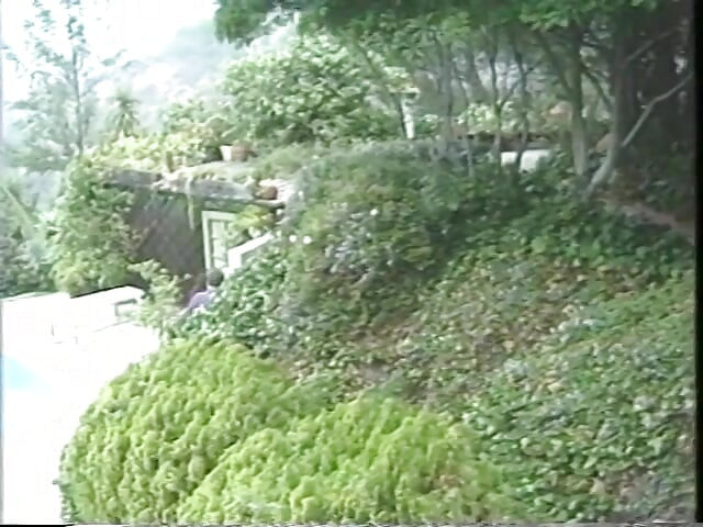 豐滿的寶貝在沙發上將手指深深地滑入她的陰戶
