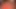 Velma seksi lagi asik nyepong dildo ukuran raksasa sambil pakai kacamata