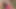 Perfect body babe can take whole cock in her ass