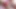 Hard Fuck of an 18 Year Old Cum in Mouth Bitch Swallows Sperm