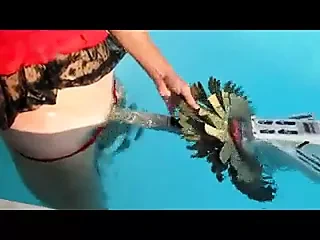 swimming pool robot1