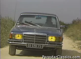 Sex appeal sur tapis vert (1983) (ENG) - Bet your ass