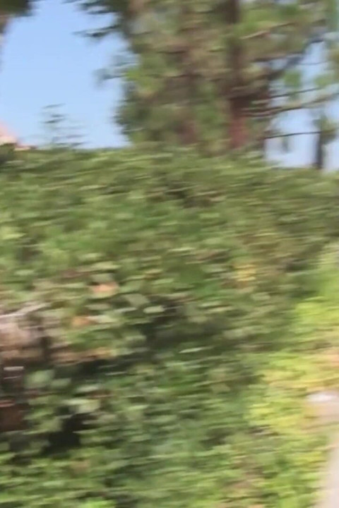 Fat Woman Gets Fucked Hard in Her Big Pussy by a BBC