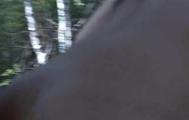 Outdor sex and blowjob in wood