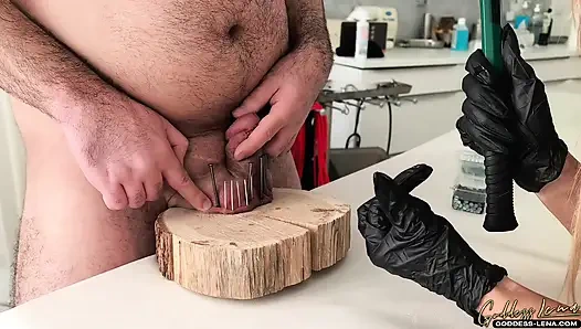 Gnadenlose Schwanzqualen