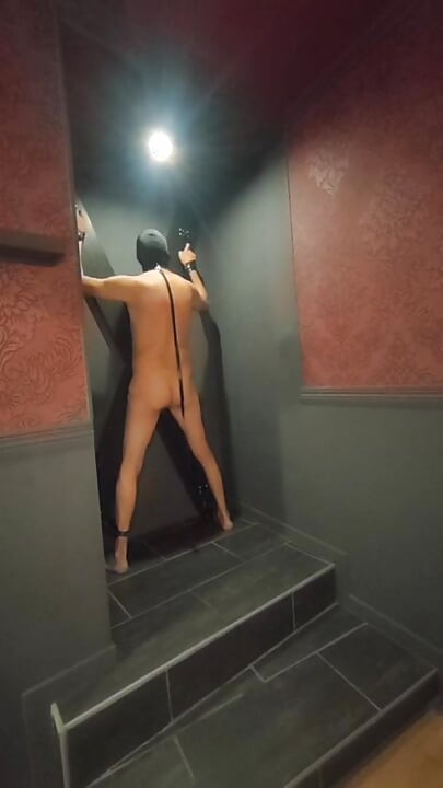 Mistress Acanthus raises her slave on a leash to the whip on the cross