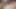 Small shaved dick small balls in tan pantyhose and vibrator