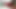 Hot Trans Beauty Home Alone