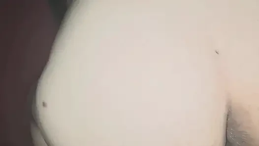 of a puppy