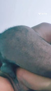 Pratinjau video