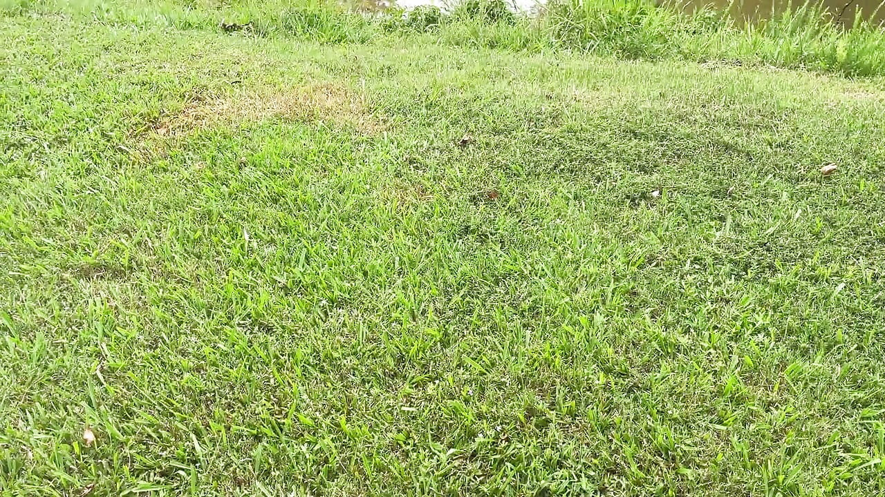Lakeside Blowjob