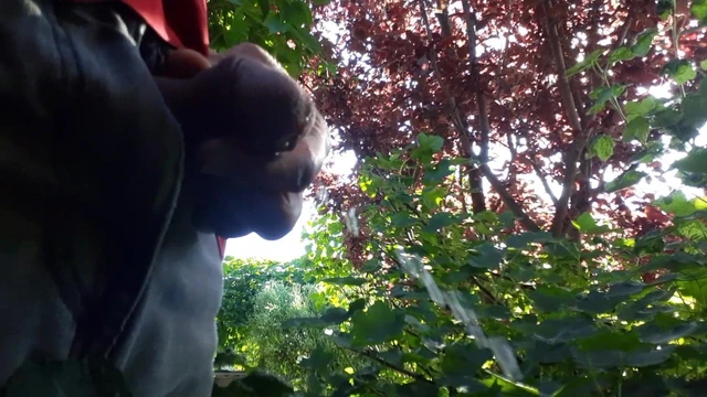 Garden's pee
