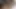 Uncut trans beauty wanks cum after toying ass