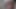 バストのビックスが激しく突かれる