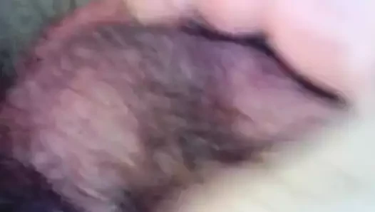 seven benim tatlı horoz