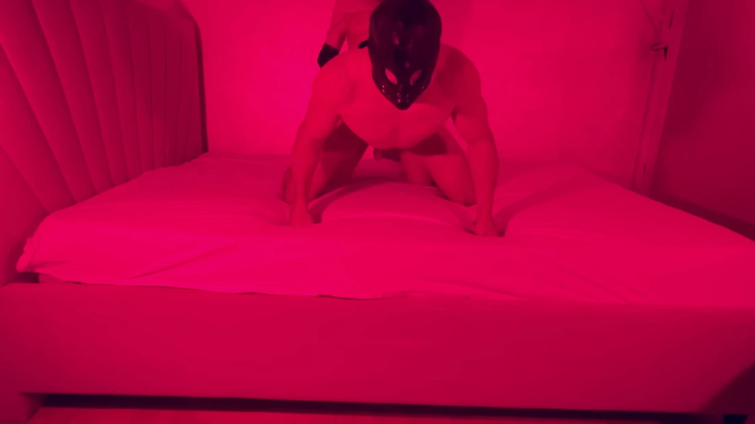 BDSM Hard Pegging
