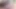 Seksi lacey duvalle kedi yaladı tarafından dik shorty mac