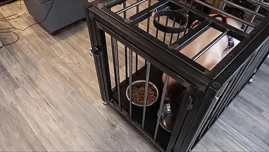 24/7 Käfig den Sklaven im alltag behalten