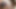 ワイルドライフ、おいしい激しいセックス、甘い喜び、おいしいハードセックス