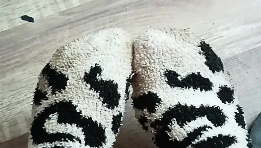 Quit stealing my socks jack