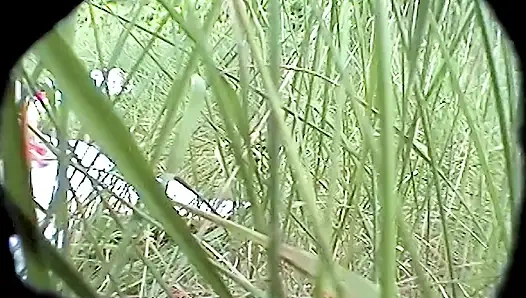 Влажный лесбийский секс на свежем воздухе