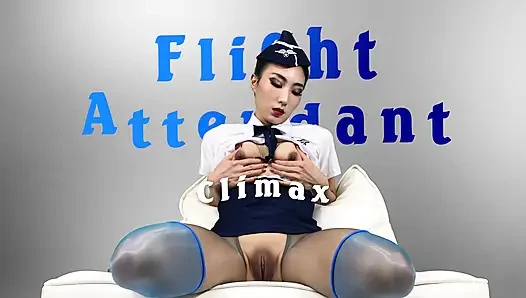 Flight Attendant